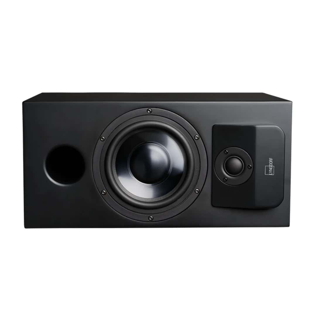 Lyngdorf Audio CS-1 - In-Cabinet Speaker
