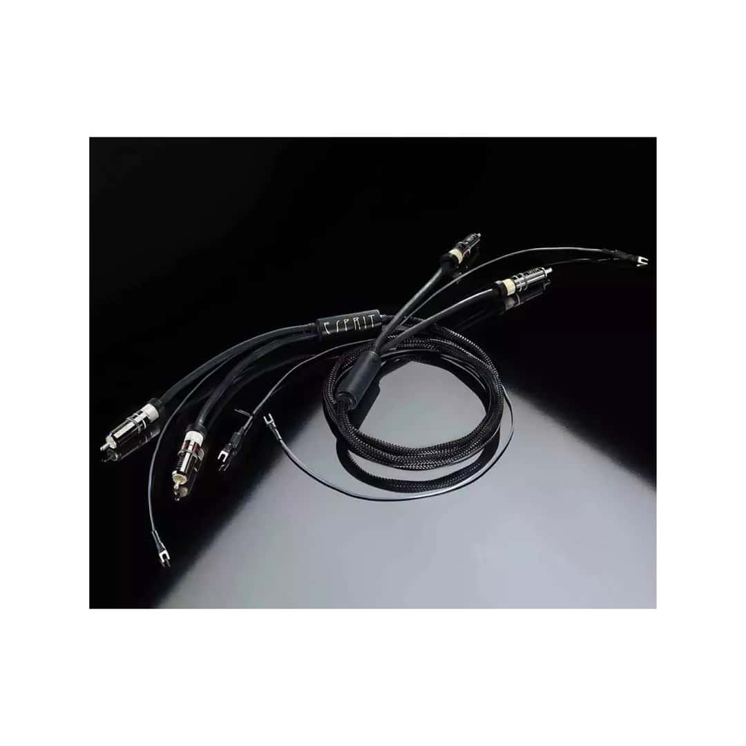 Esprit Lumina Phono Modulation RCA