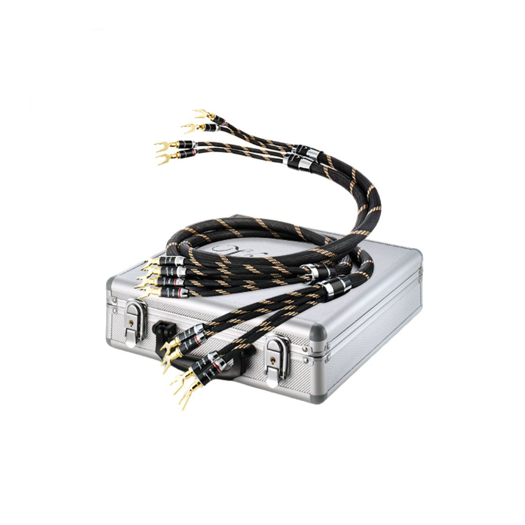 Vincent Audio Bi-Wire-Cable- High End Bi-Wire Speaker Cable (3 meter)